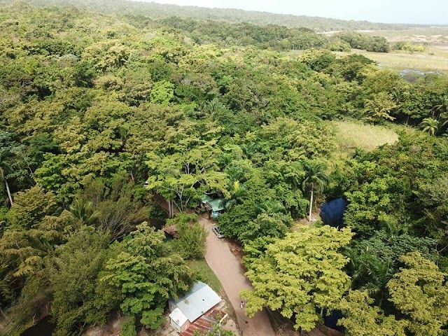 Las Cuevas de Cabarete